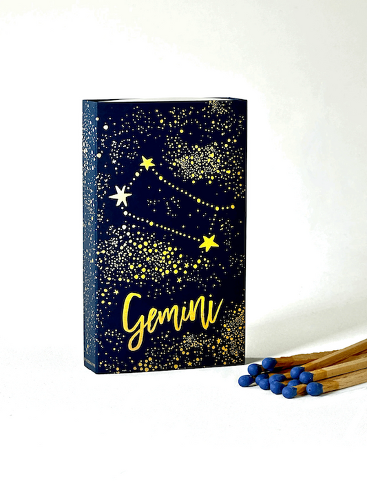 gemini-matches